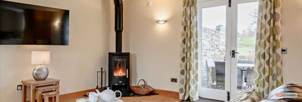 living room with fire